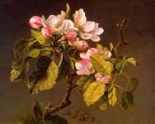 Apple Blossoms - 马丁·约翰逊·赫德